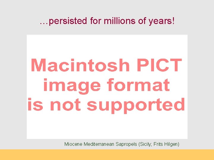 …persisted for millions of years! Miocene Mediterranean Sapropels (Sicily; Frits Hilgen) 