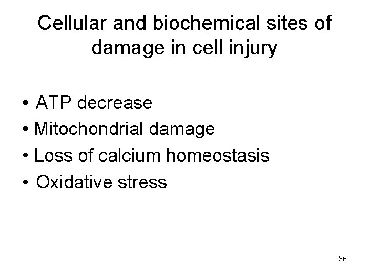 Cellular and biochemical sites of damage in cell injury • ATP decrease • Mitochondrial