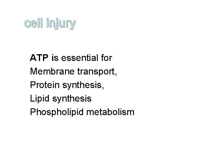 cell injury ATP is essential for Membrane transport, Protein synthesis, Lipid synthesis Phospholipid metabolism