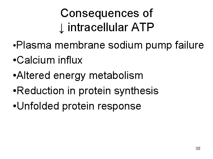 Consequences of ↓ intracellular ATP • Plasma membrane sodium pump failure • Calcium influx
