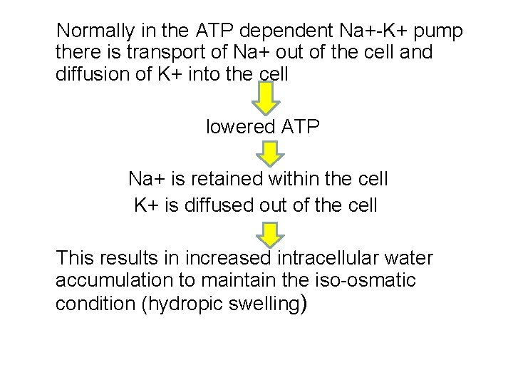 Normally in the ATP dependent Na+-K+ pump there is transport of Na+ out of