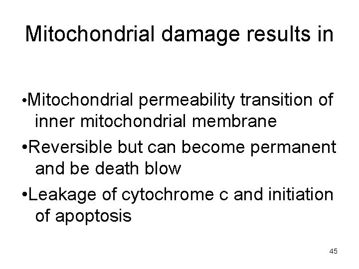 Mitochondrial damage results in • Mitochondrial permeability transition of inner mitochondrial membrane • Reversible