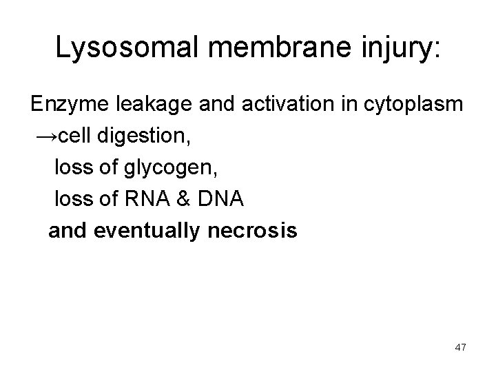 Lysosomal membrane injury: Enzyme leakage and activation in cytoplasm →cell digestion, loss of glycogen,