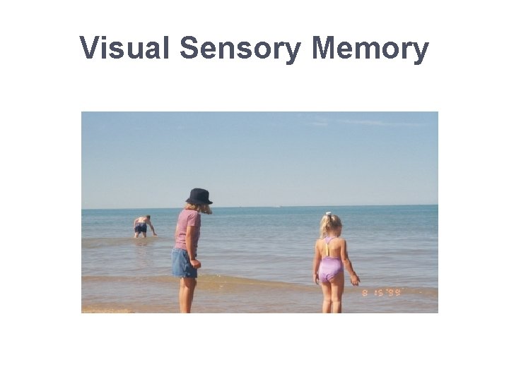 Visual Sensory Memory 