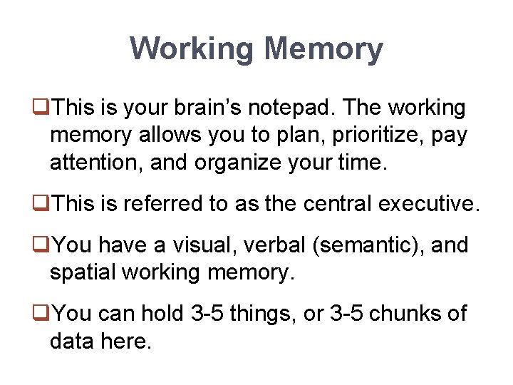 Working Memory q. This is your brain’s notepad. The working memory allows you to