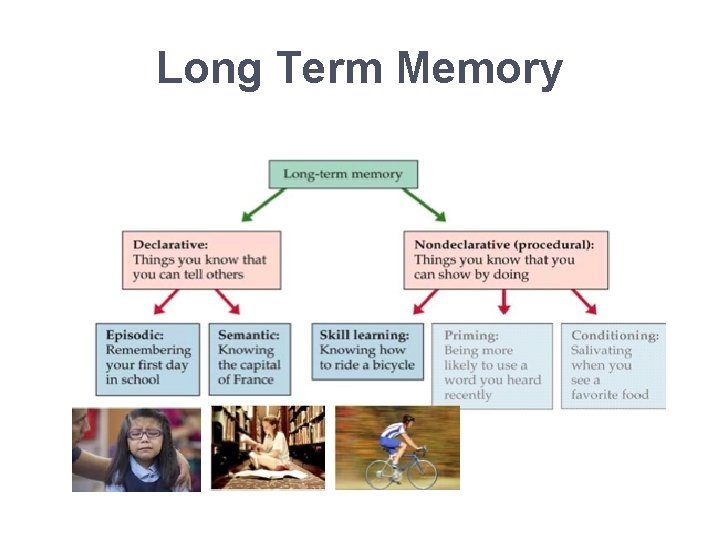 Long Term Memory 