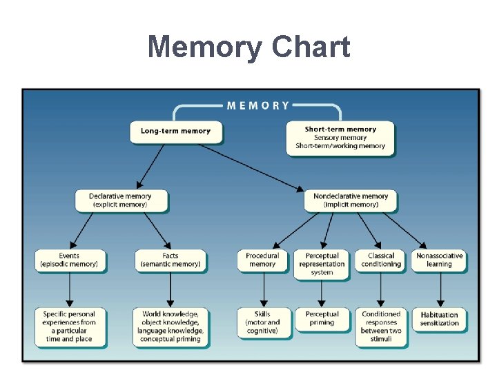 Memory Chart 