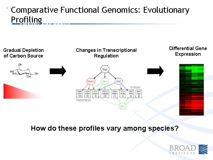 Comparative Functional Genomics: Evolutionary Profiling Gradual Depletion of Carbon Source Changes in Transcriptional Regulation
