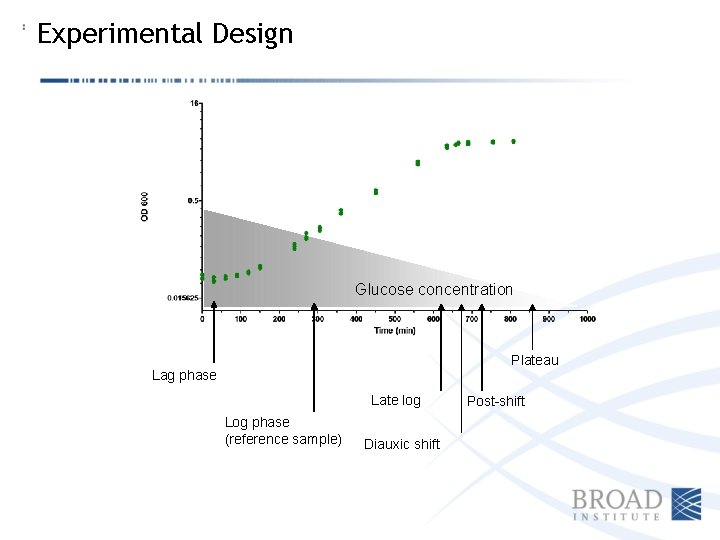 Experimental Design Glucose concentration Plateau Lag phase Late log Log phase (reference sample) Diauxic