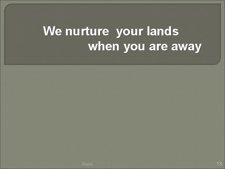 We nurture your lands when you are away Roots 13 