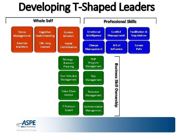 Developing T-Shaped Leaders 