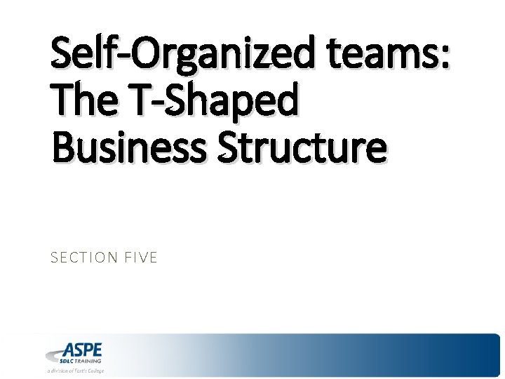 Self-Organized teams: The T-Shaped Business Structure SECTION FIVE 