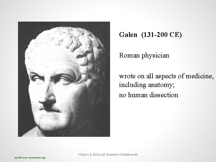 Galen (131 -200 CE) Roman physician wrote on all aspects of medicine, including anatomy; no