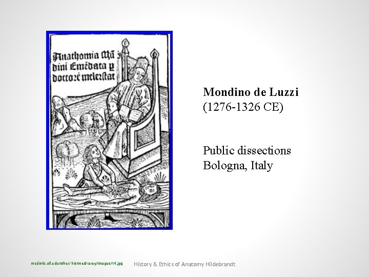 Mondino de Luzzi (1276 -1326 CE) Public dissections Bologna, Italy medinfo. ufl. edu/other/ histmed/rarey/images/14.