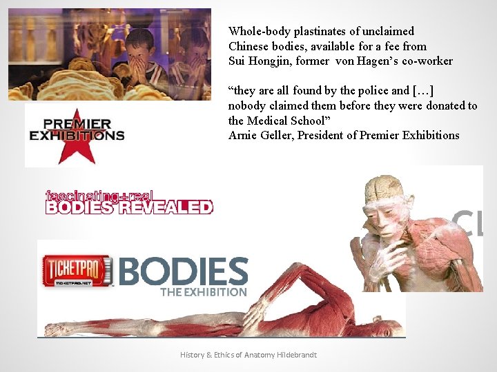 Whole-body plastinates of unclaimed Chinese bodies, available for a fee from Sui Hongjin, former