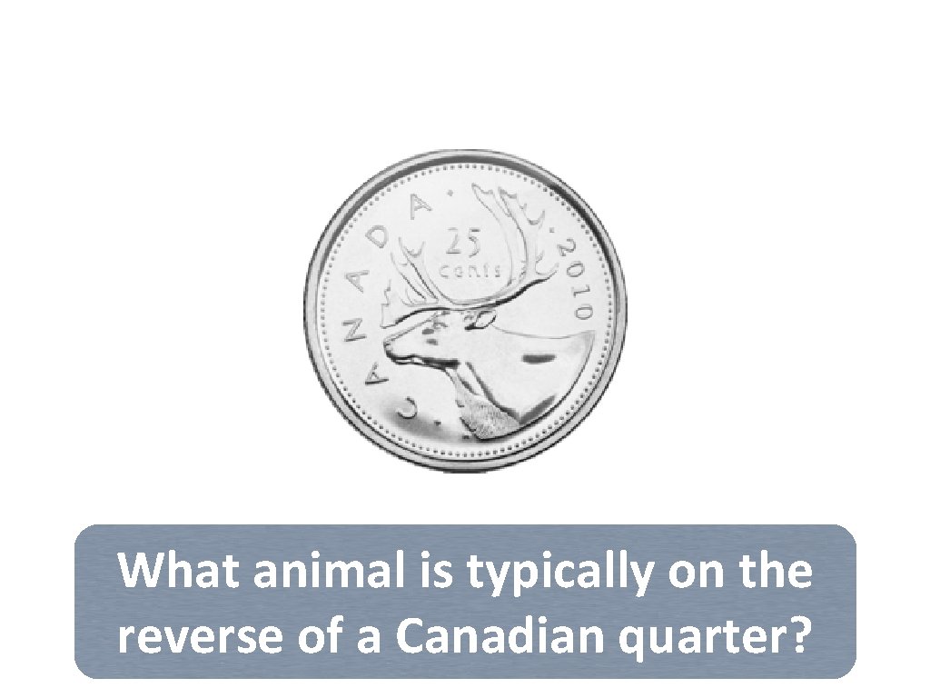 What animal is typically on the reverse of a Canadian quarter? 