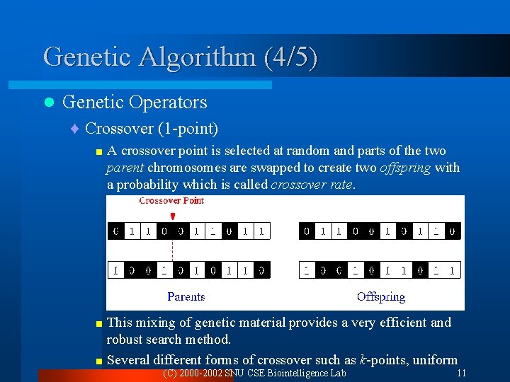 Genetic Algorithm (4/5) l Genetic Operators ¨ Crossover (1 -point) <A crossover point is