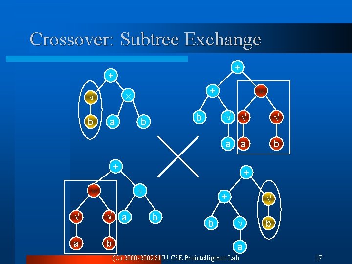 Crossover: Subtree Exchange + + b a + b b a a b +