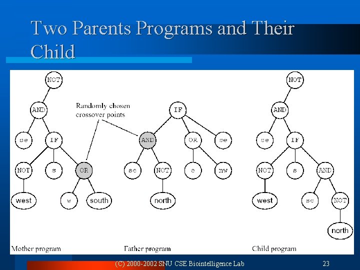 Two Parents Programs and Their Child (C) 2000 -2002 SNU CSE Biointelligence Lab 23