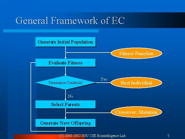 General Framework of EC Generate Initial Population Fitness Function Evaluate Fitness Termination Condition? Yes