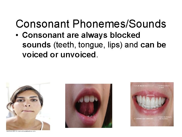 Consonant Phonemes/Sounds • Consonant are always blocked sounds (teeth, tongue, lips) and can be