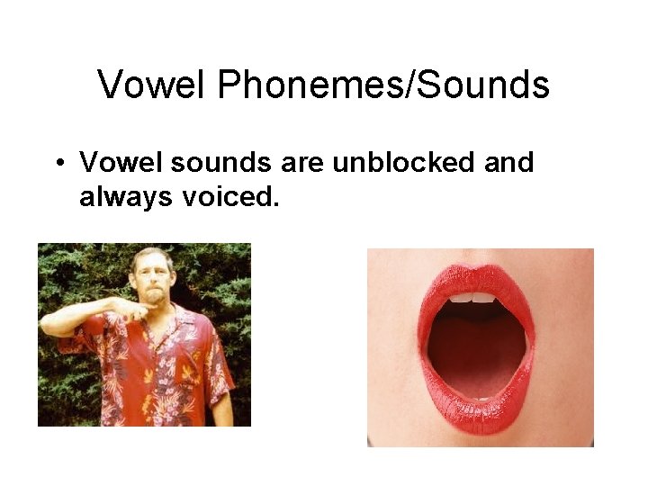 Vowel Phonemes/Sounds • Vowel sounds are unblocked and always voiced. 