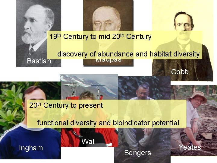 19 th Century to mid 20 th Century discovery of abundance and habitat diversity