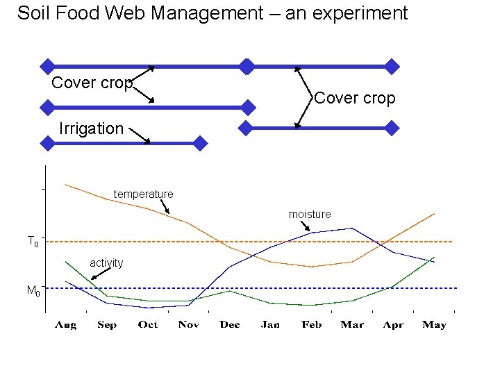 Soil Food Web Management – an experiment Cover crop Irrigation temperature moisture T 0