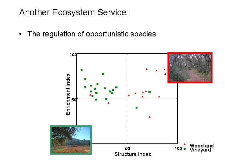 Another Ecosystem Service: • The regulation of opportunistic species Enrichment Index 100 50 0