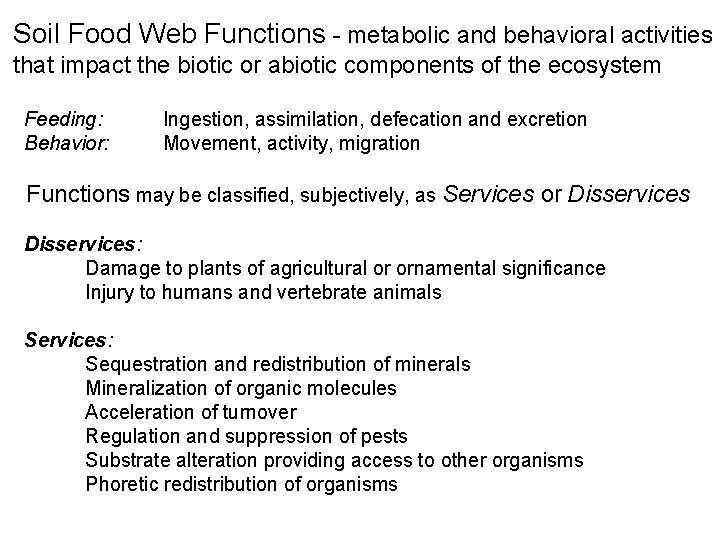 Soil Food Web Functions - metabolic and behavioral activities that impact the biotic or