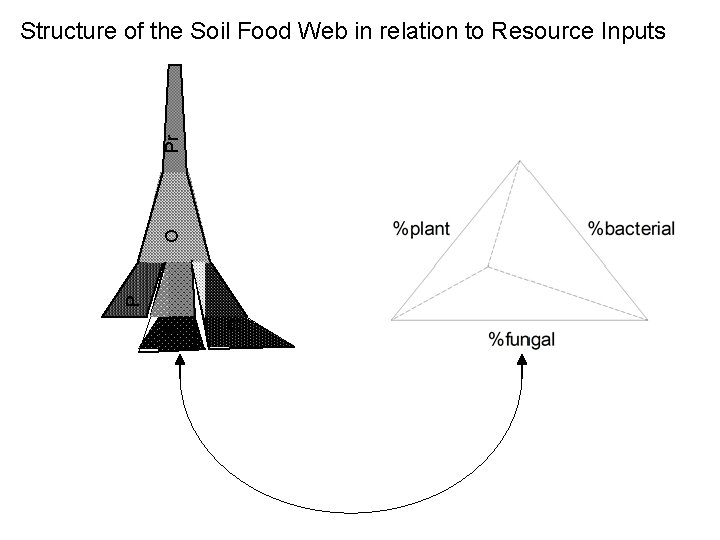 B F P O Pr Structure of the Soil Food Web in relation to