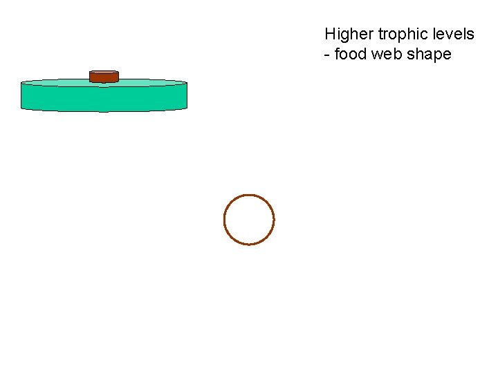 Higher trophic levels - food web shape 