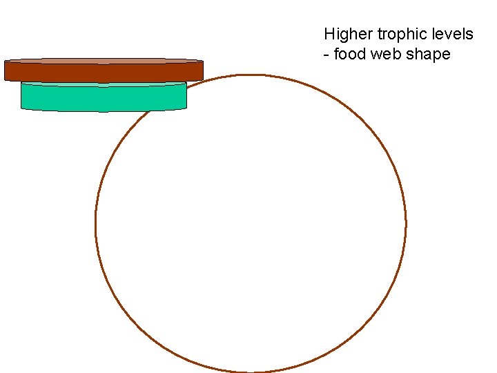 Higher trophic levels - food web shape 