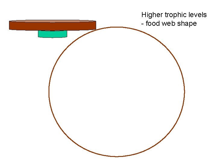 Higher trophic levels - food web shape 