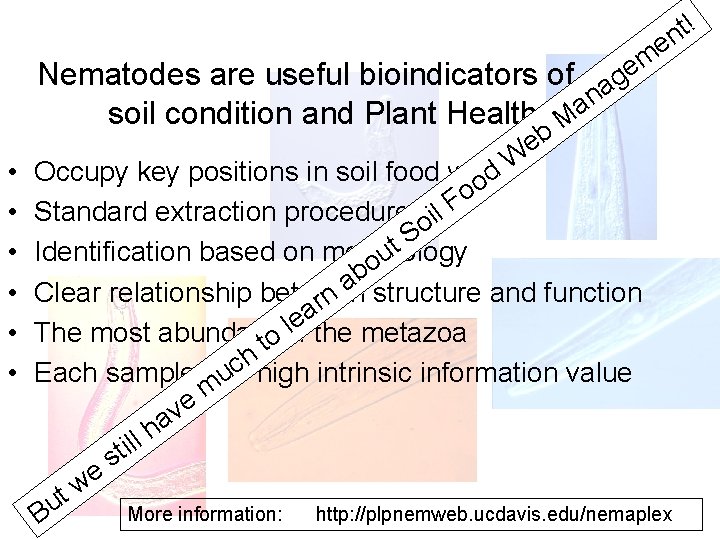 e em Nematodes are useful bioindicators of ag n a soil condition and Plant