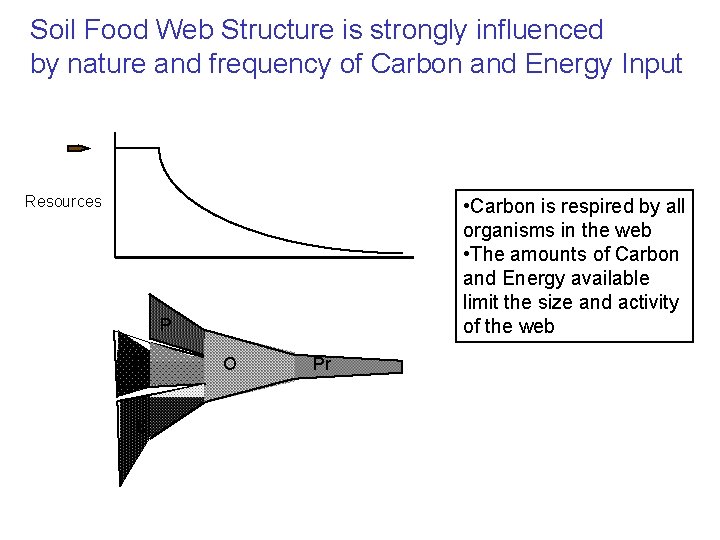 Soil Food Web Structure is strongly influenced by nature and frequency of Carbon and
