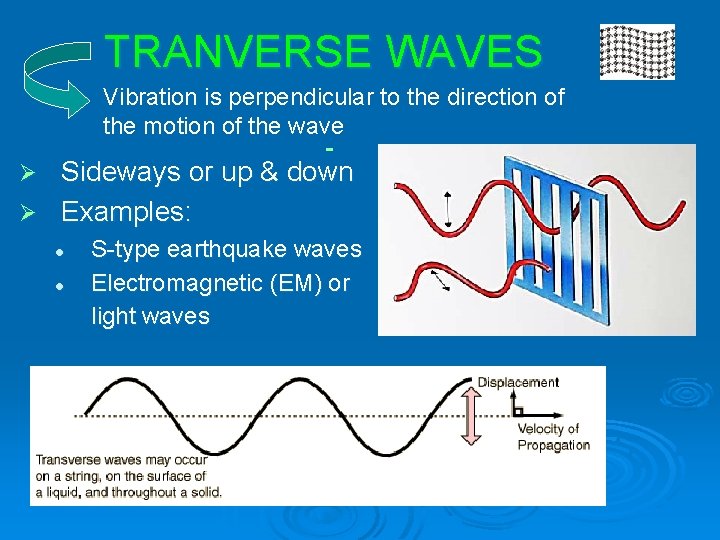 TRANVERSE WAVES Vibration is perpendicular to the direction of the motion of the wave