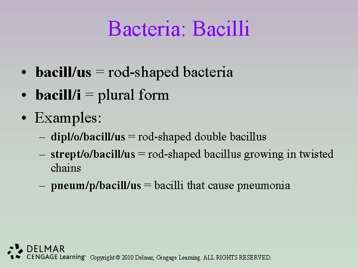 Bacteria: Bacilli • bacill/us = rod-shaped bacteria • bacill/i = plural form • Examples:
