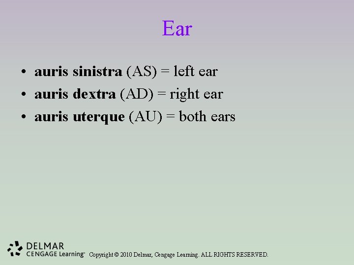 Ear • auris sinistra (AS) = left ear • auris dextra (AD) = right