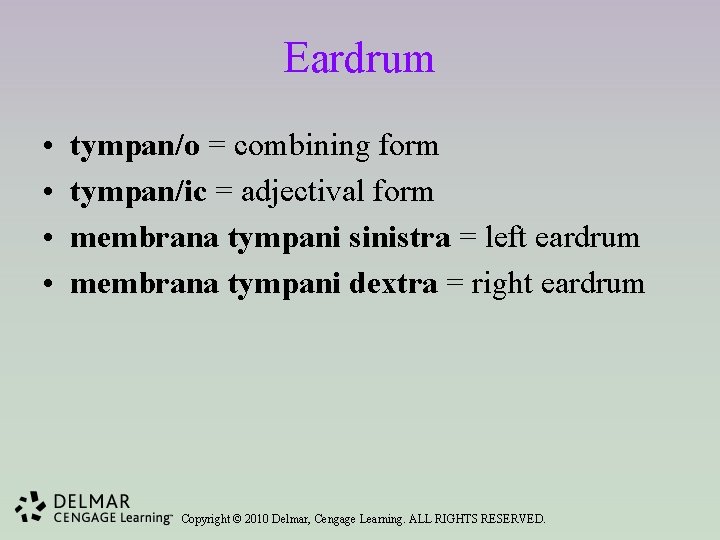 Eardrum • • tympan/o = combining form tympan/ic = adjectival form membrana tympani sinistra