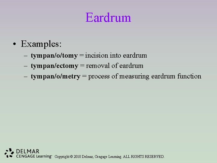 Eardrum • Examples: – tympan/o/tomy = incision into eardrum – tympan/ectomy = removal of