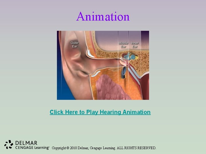 Animation Click Here to Play Hearing Animation Copyright © 2010 Delmar, Cengage Learning. ALL