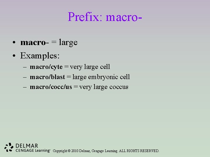 Prefix: macro • macro- = large • Examples: – macro/cyte = very large cell