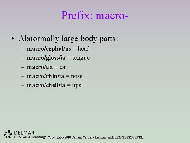 Prefix: macro • Abnormally large body parts: – – – macro/cephal/us = head macro/gloss/ia