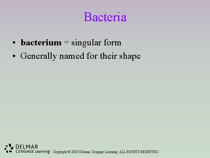Bacteria • bacterium = singular form • Generally named for their shape Copyright ©