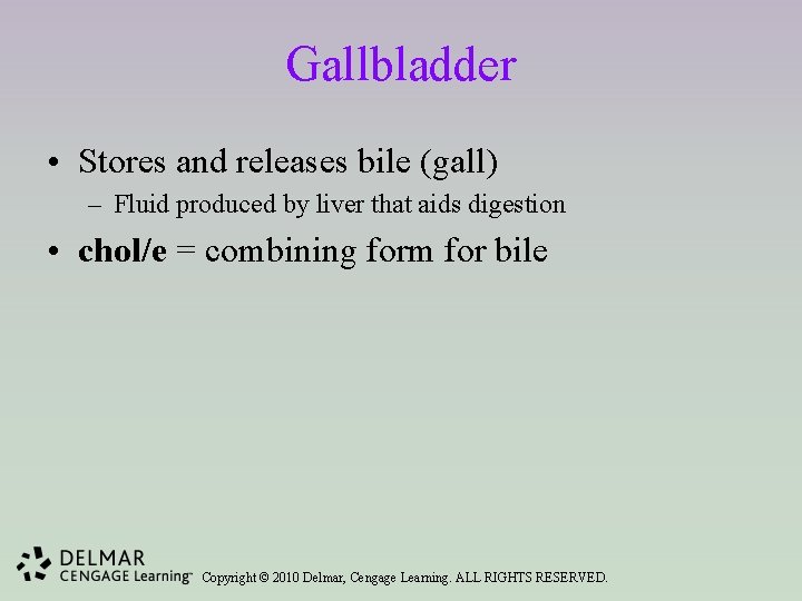 Gallbladder • Stores and releases bile (gall) – Fluid produced by liver that aids