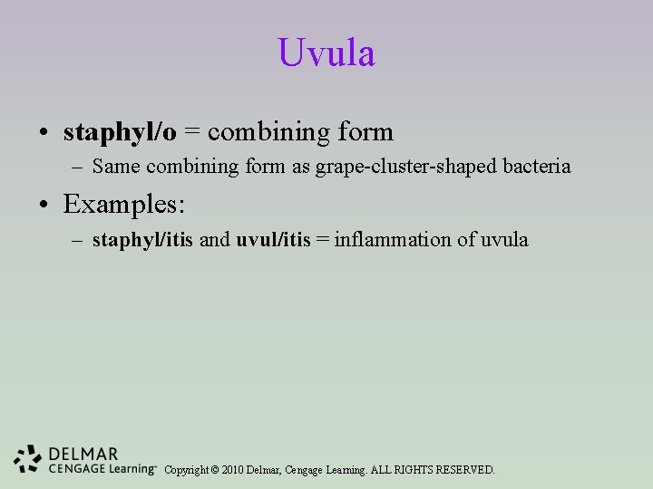 Uvula • staphyl/o = combining form – Same combining form as grape-cluster-shaped bacteria •