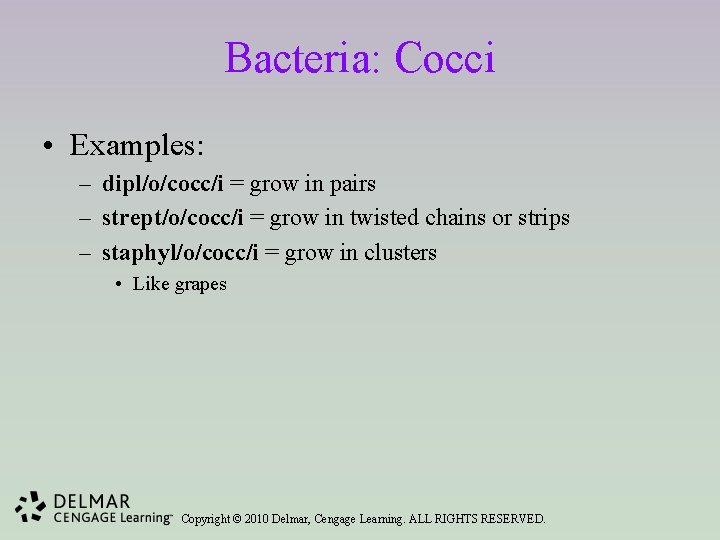 Bacteria: Cocci • Examples: – dipl/o/cocc/i = grow in pairs – strept/o/cocc/i = grow