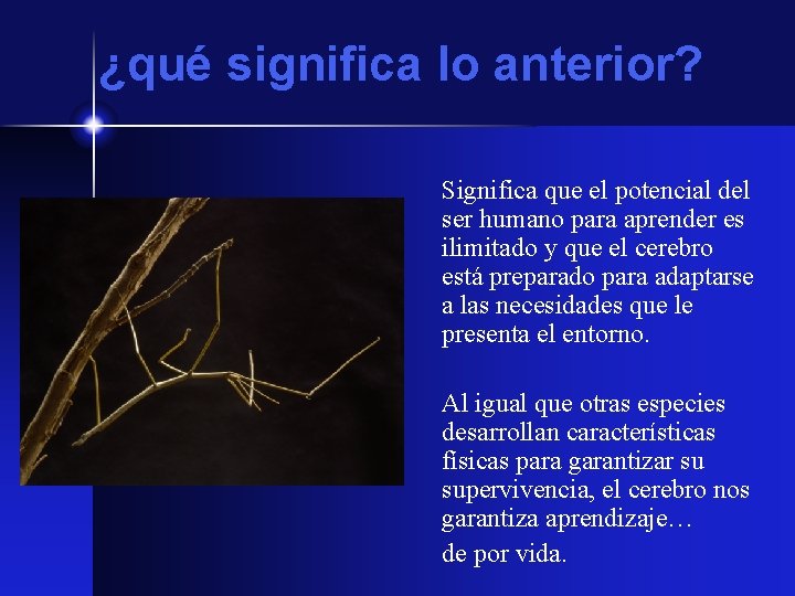 ¿qué significa lo anterior? Significa que el potencial del ser humano para aprender es