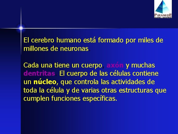 El cerebro humano está formado por miles de millones de neuronas. Cada una tiene